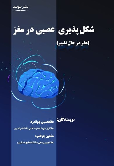 شکل پذیری عصبی در مغز